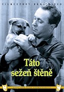 Táto, sežeň štěně! – plakát filmu