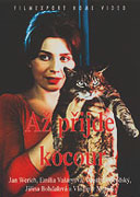 Až přijde kocour – plakát filmu