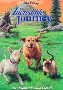 Incredible Journey, The – plakát filmu