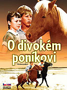 Místy zamlženo – plakát filmu