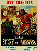 Davidův příběh – plakát filmu