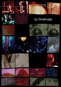 Wedlock House: An Intercourse – plakát filmu