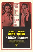 Black Orchid, The – plakát filmu