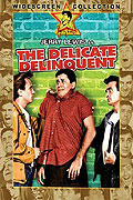 Delikátní delikvent – plakát filmu