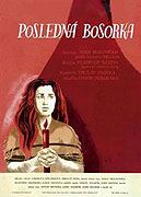 Posledná bosorka – plakát filmu