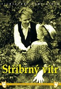 Stříbrný vítr – plakát filmu
