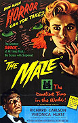 Maze, The – plakát filmu