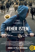 Fehér isten – plakát filmu