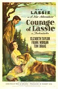 Odvážná Lassie – plakát filmu