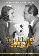 Neviděli jste Bobíka? – plakát filmu