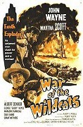 Stará Oklahoma – plakát filmu