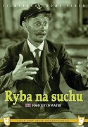Ryba na suchu – plakát filmu