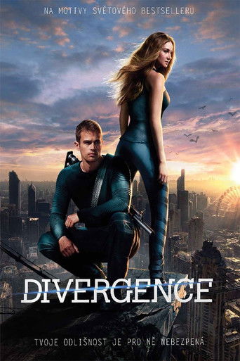 Divergence – plakát filmu