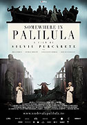 Kdesi v Palilule – plakát filmu