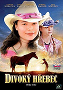 Divoký hřebec – plakát filmu