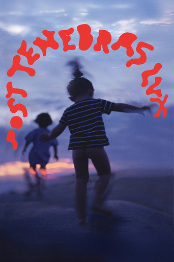 Post Tenebras Lux – plakát filmu