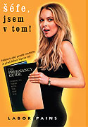 Šéfe, jsem v tom! – plakát filmu