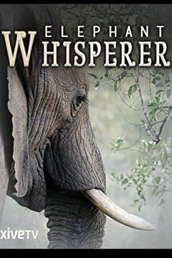 Elephant Whisperer – plakát filmu