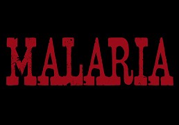 Malária – plakát filmu