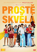 Prostě skvělá – plakát filmu