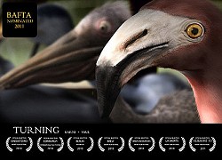 Turning – plakát filmu