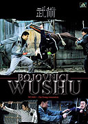 Bojovníci WUSHU – plakát filmu