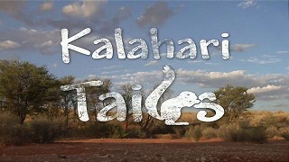 Kalaharské ocásky – plakát filmu