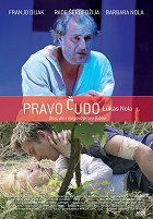 Skutečný zázrak – plakát filmu