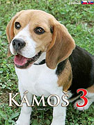 Kámoš 3 – plakát filmu