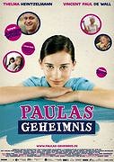 Paulino tajemství – plakát filmu