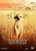 Surikaty – plakát filmu