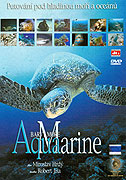 Aquamarine - barvy moře – plakát filmu