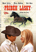 Příběh lásky – plakát filmu