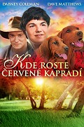 Kde roste červené kapradí – plakát filmu