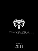 Strawberry Spring – plakát filmu