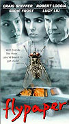 Flypaper – plakát filmu