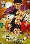 Hum Hain Rahi Pyaar Ke – plakát filmu