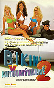 Bikini v autoumývárně 2 – plakát filmu