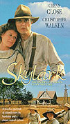 Skřivánek – plakát filmu
