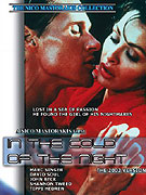 Chlad horkých nocí – plakát filmu