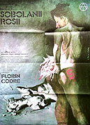 Sobolanii rosii – plakát filmu
