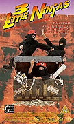 3 Little Ninjas and the Lost Treasure – plakát filmu