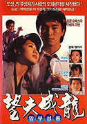 Wang fu cheng long – plakát filmu