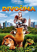 Divočina – plakát filmu
