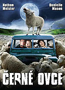 Černé ovce – plakát filmu