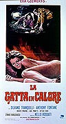 Gatta in calore, La – plakát filmu