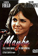 Maybe I'll Come Home in the Spring – plakát filmu