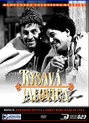 Rysavá jalovica – plakát filmu