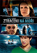 Dlouho hledaný syn – plakát filmu