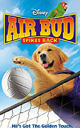 Můj pes Buddy V – plakát filmu
